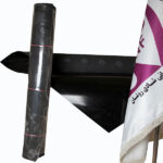 زیره میکرولایت